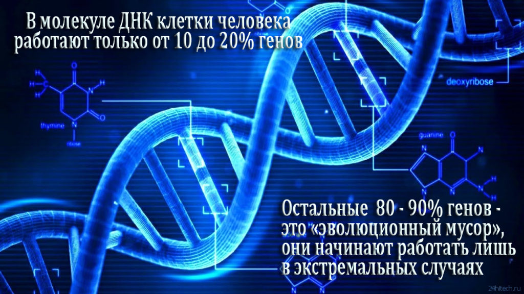 ДНК - геном